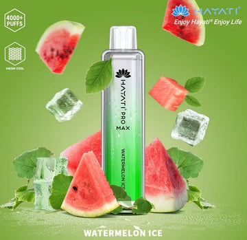 Hayati Pro Max 4000 Puffs Disposable Vape